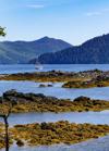 Mountains behind a lake in Haida Gwaii