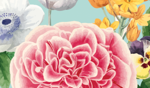 A vibrant digital illustration of a floral greeting card featuring pink roses, white anemones, yellow daffodils, and other colorful flowers against a light blue background.