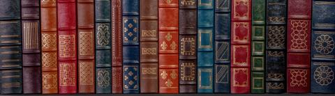 Book spines on a shelf.