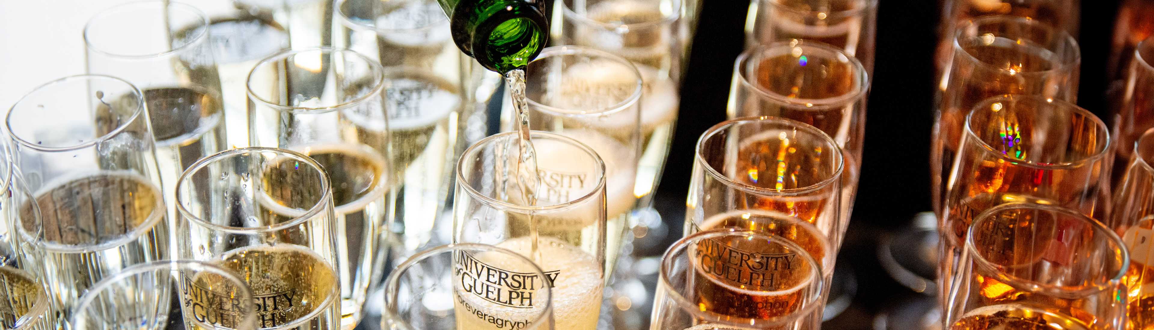 Champagne being poured into University of Guelph-branded glasses at a celebratory alumni event, with rows of filled glasses ready for guests.