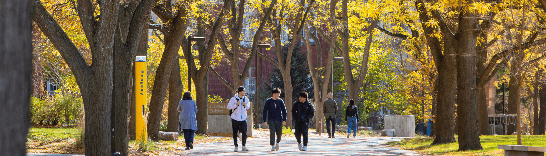 uofg campus fall students walking jd maclachlan building